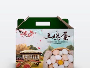 生态之源 绿色鸡蛋礼盒包装设计赏析与模板下载指南
